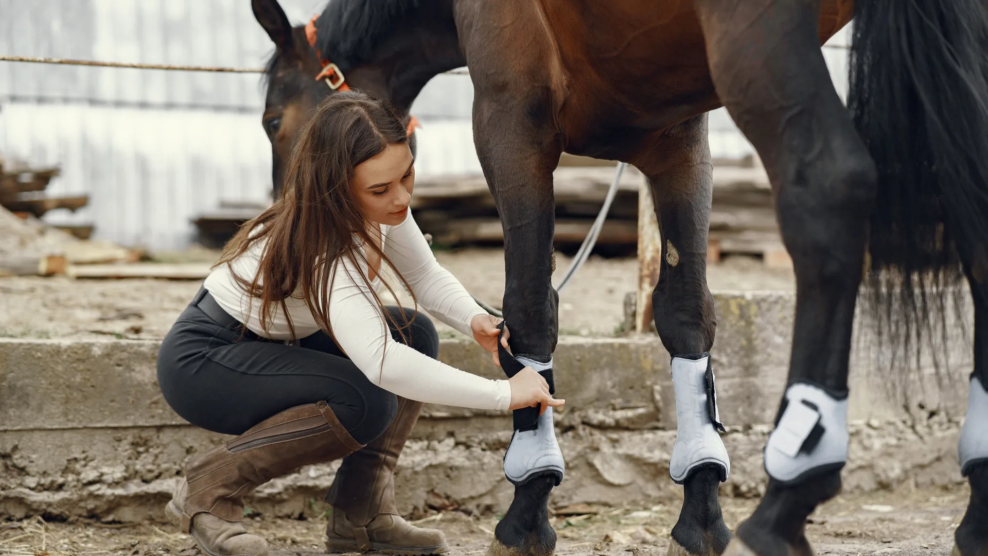 Mujer colocando protectores en las manos de un caballo