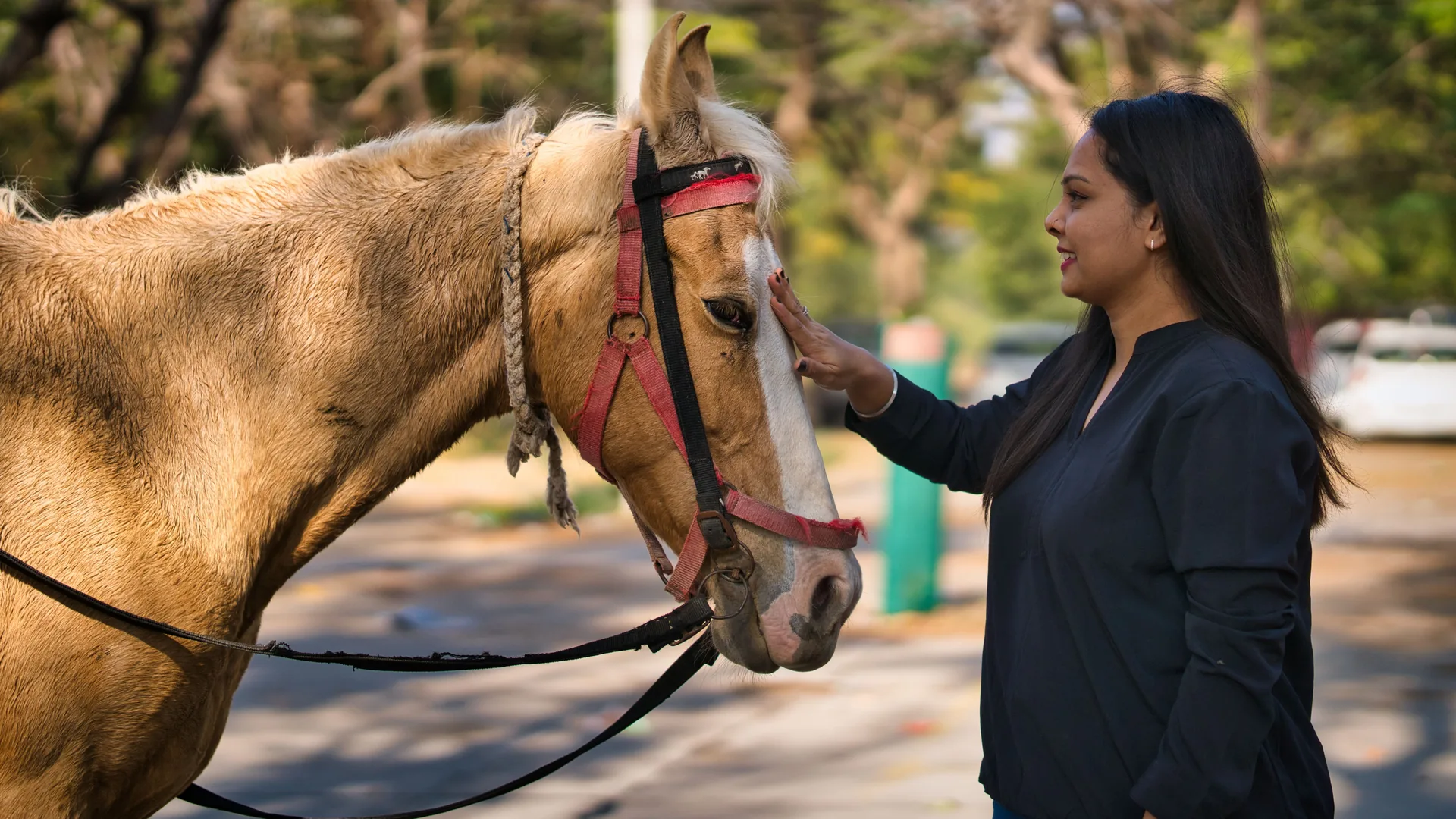 Mujer acariciando la cara de un caballo palomino