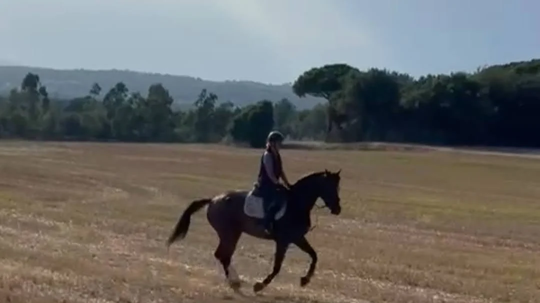 Jinete galopando por un campo de rastrojo al atardecer