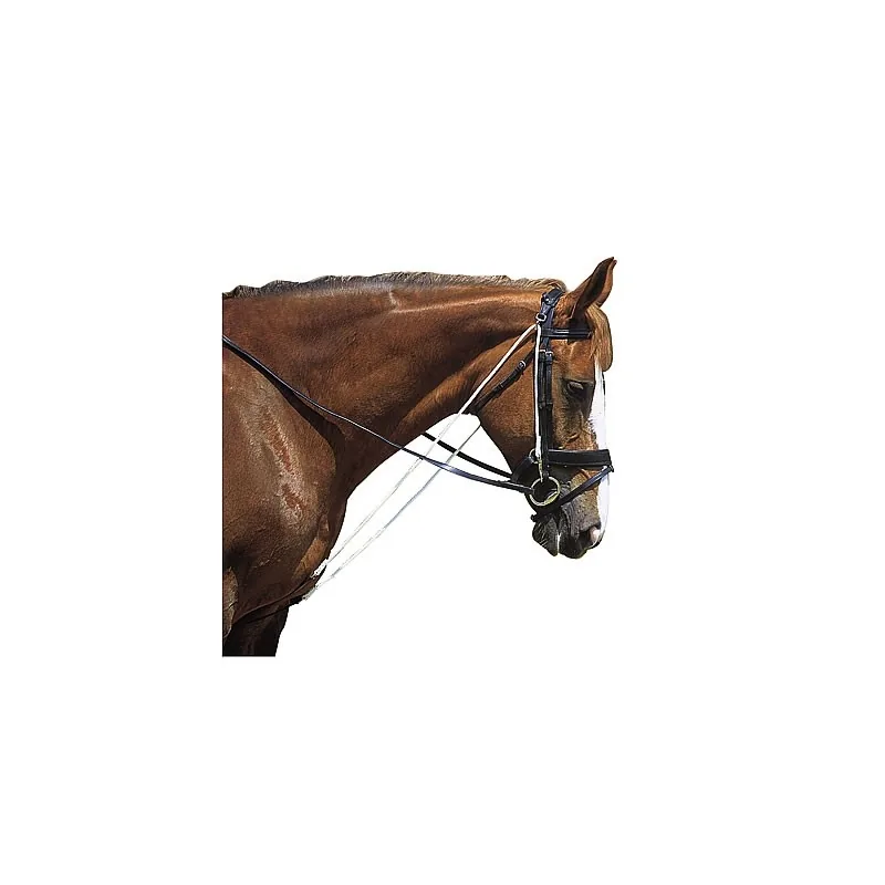 Caballo castaño con un chambón con poleas colocado