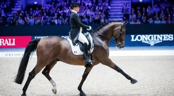 Caballo bayo ejecutando un ejercicio de doma clásica en competición