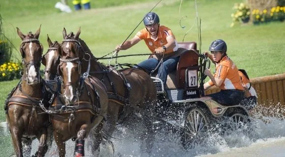 Cuatro caballos enganchados cruzando un obstáculo de agua