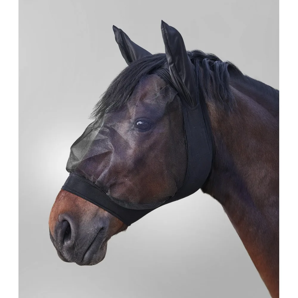 Caballo con una máscara antimoscas puesta