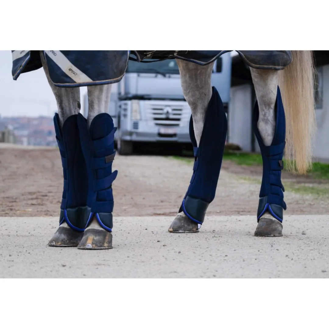 Caballo con protectores de transporte puestos en las cuatro patas