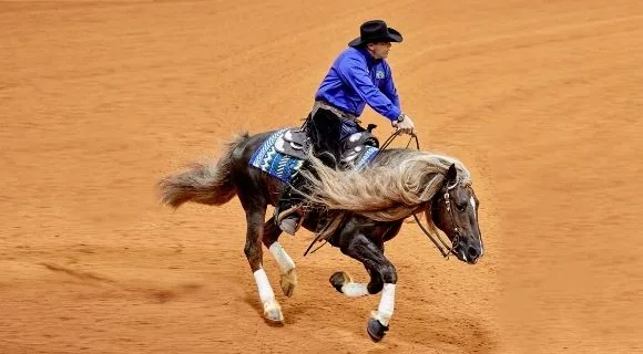Caballo western ejecutando una parada deslizada en reining