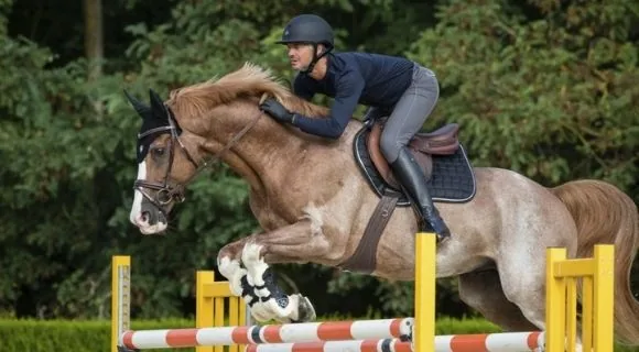 Caballo y jinete franqueando un obstáculo en un concurso de salto