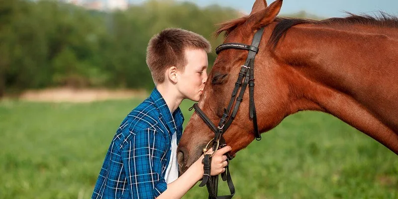 Niño acariciando la cara de un caballo castaño