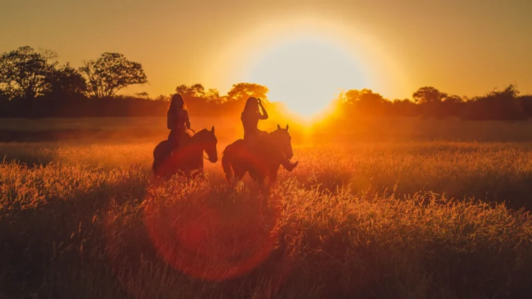 Dos jinetes a contraluz cabalgando por un campo al amanecer