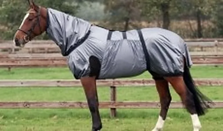 Caballo con una manta anti-eczema gris en el prado