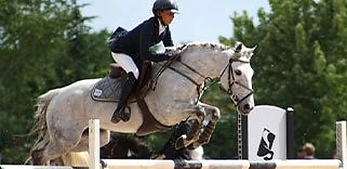 Amazona y caballo tordo saltando un obstáculo en concurso