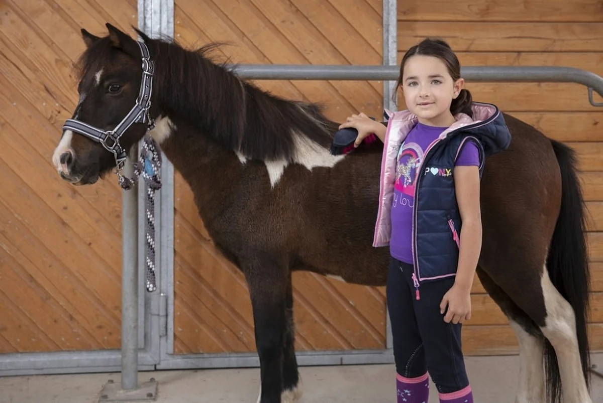 Niña cepillando a un poni pío en la cuadra