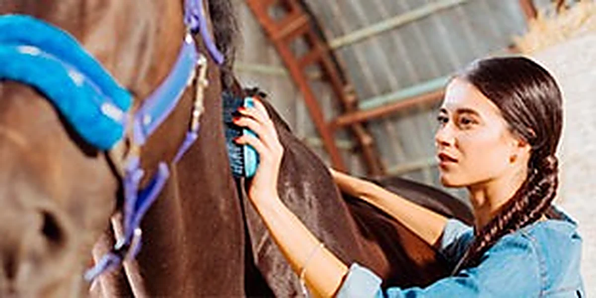 Mujer cepillando el cuello de un caballo castaño