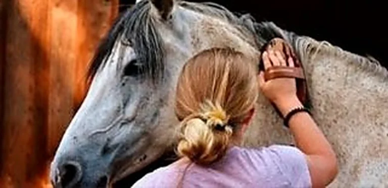 Chica abrazada al cuello de un caballo tordo