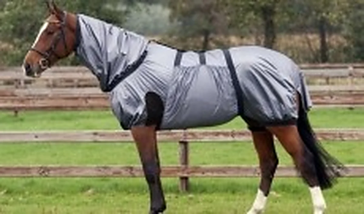Caballo protegido con manta anti-eczema en el prado