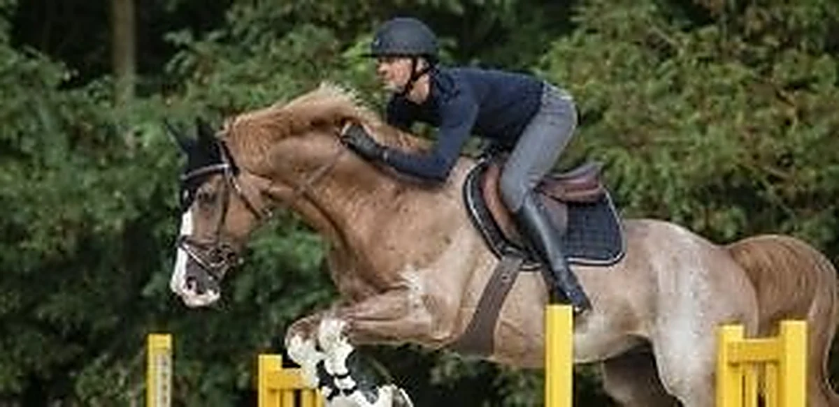 Caballo y jinete franqueando un obstáculo de salto