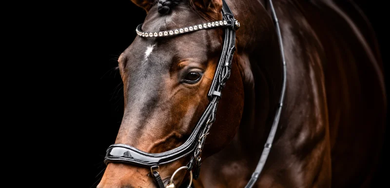 Productos para Montar a Caballo