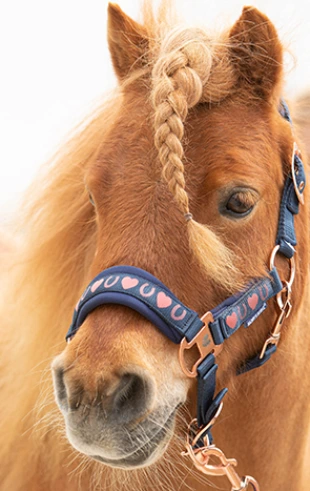 Productos para Montar a Caballo