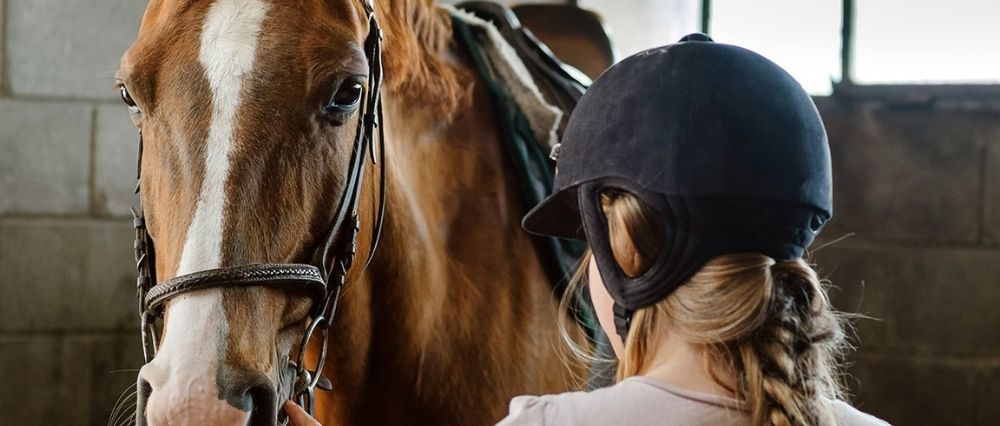 Limpieza del caballo
