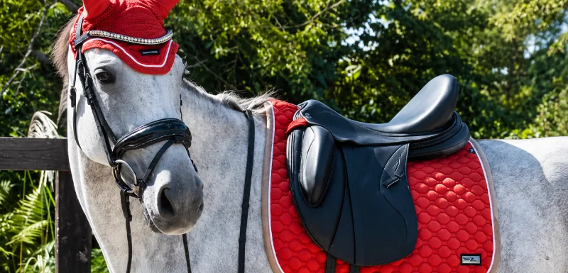 Productos para Montar a Caballo