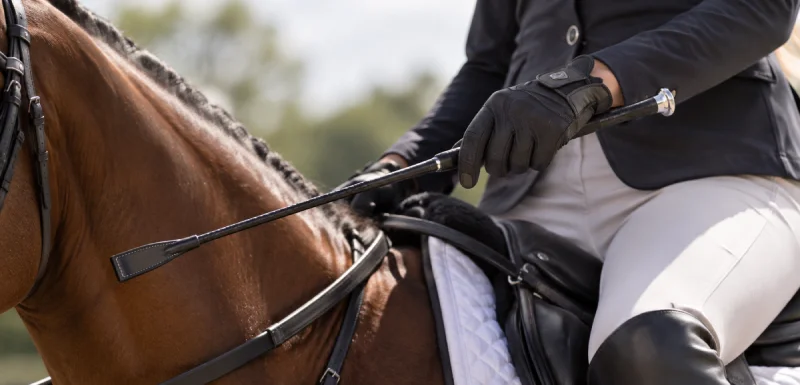 Productos para Montar a Caballo