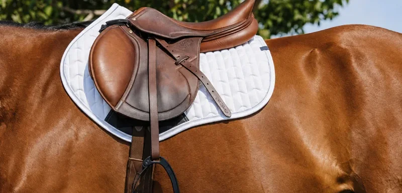 Productos para Montar a Caballo