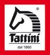 TATTINI